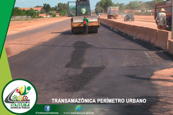 Foto - ENTRE OS QUILÔMENTROS 04 E 05 DA TRANSAMAZÔNICA