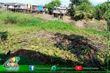 Foto - LIMPEZA IGARAPÉ ORIUNDO