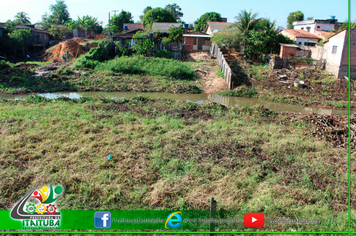 Foto - LIMPEZA IGARAPÉ ORIUNDO