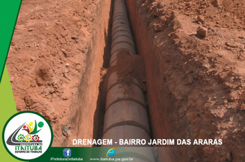 Foto - RODOVIA TRANSAMAZÔNICA O SONHO VIRANDO REALIDADE