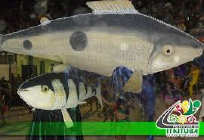 FESTIVAL DE BARREIRAS - PIAU & ARACU 2024